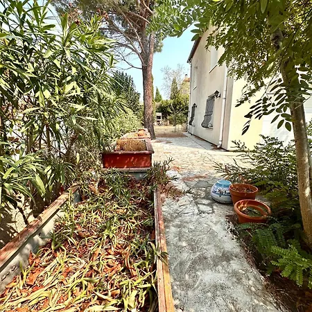 L'horizon De La Cité *